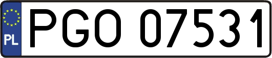 PGO07531