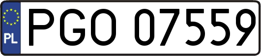 PGO07559