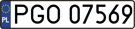 PGO07569