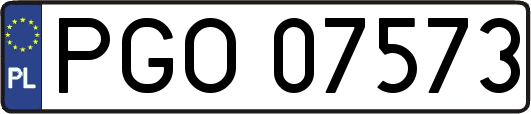 PGO07573