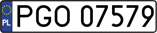 PGO07579