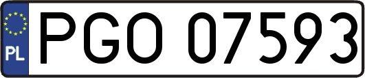 PGO07593