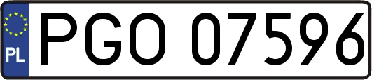 PGO07596