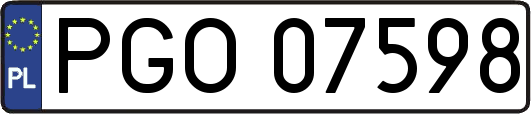 PGO07598