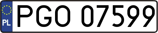 PGO07599