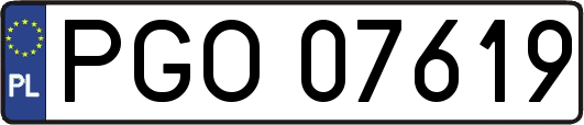 PGO07619