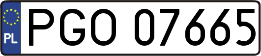 PGO07665
