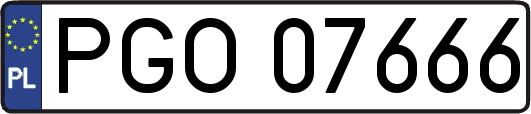 PGO07666