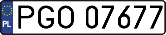 PGO07677