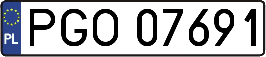 PGO07691