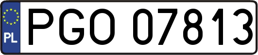 PGO07813