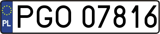 PGO07816