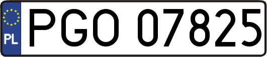 PGO07825