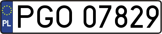 PGO07829