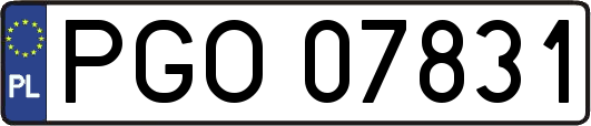 PGO07831