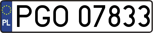PGO07833