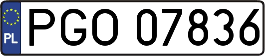 PGO07836