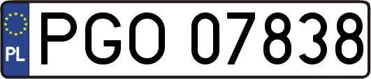 PGO07838