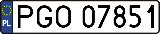 PGO07851