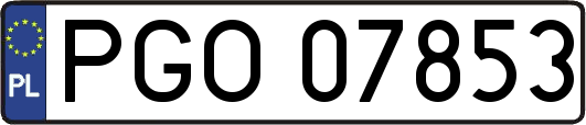 PGO07853