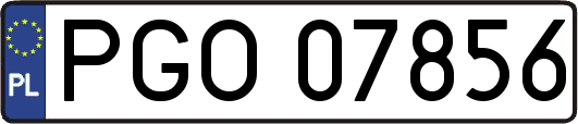 PGO07856