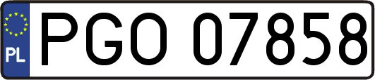 PGO07858