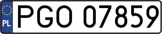 PGO07859
