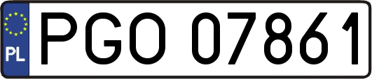 PGO07861