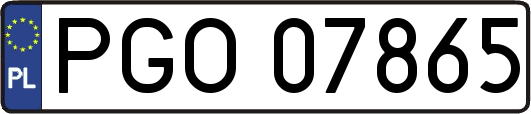 PGO07865