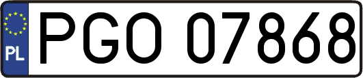 PGO07868