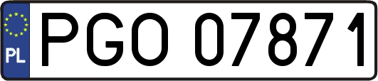 PGO07871