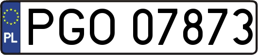 PGO07873