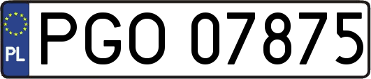 PGO07875
