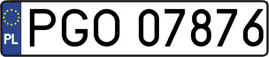 PGO07876