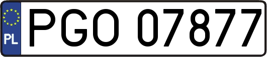 PGO07877