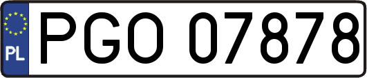 PGO07878