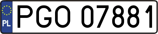 PGO07881