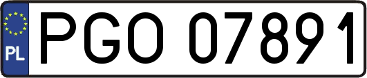 PGO07891