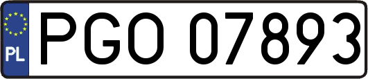 PGO07893