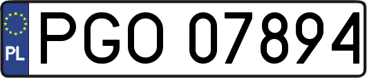 PGO07894