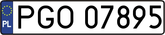 PGO07895