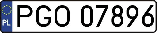 PGO07896
