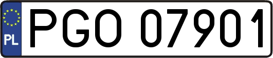 PGO07901