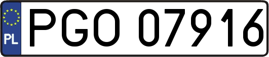 PGO07916