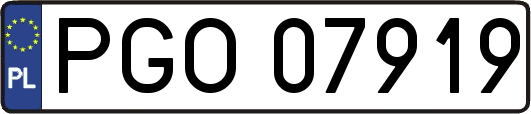 PGO07919