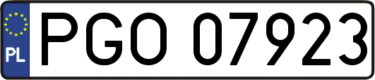 PGO07923