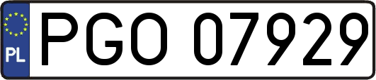 PGO07929