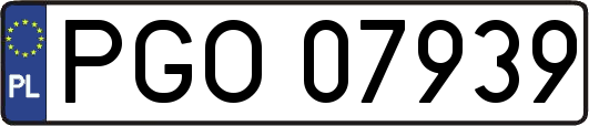 PGO07939