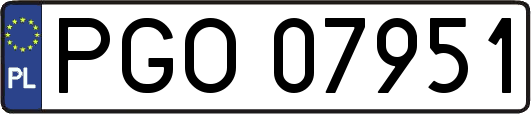 PGO07951