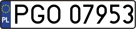 PGO07953
